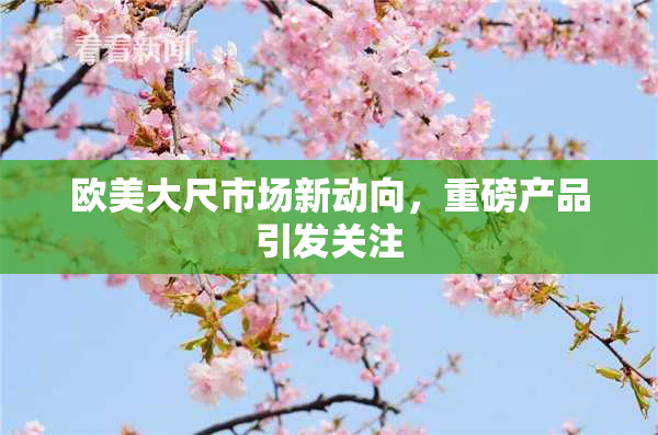 欧美大尺市场新动向，重磅产品引发关注