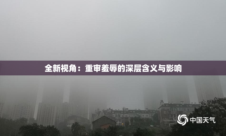 全新视角：重审羞辱的深层含义与影响