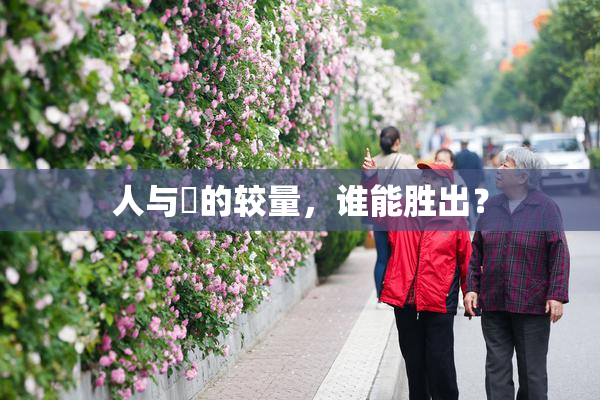 人与嘼的较量，谁能胜出？