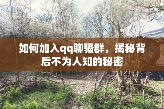 如何加入qq聊骚群，揭秘背后不为人知的秘密