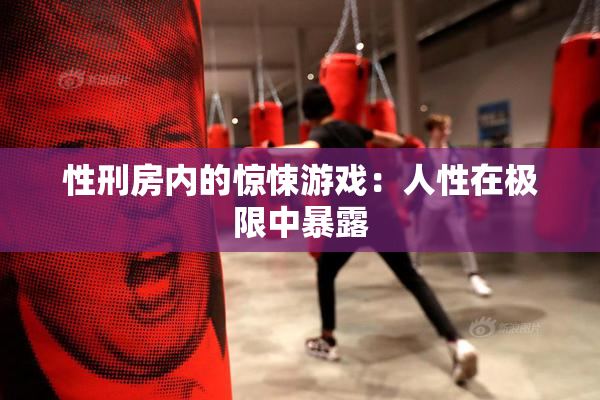 性刑房内的惊悚游戏：人性在极限中暴露
