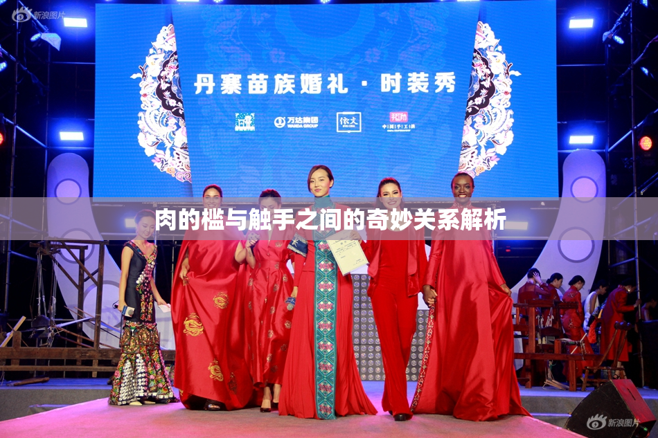肉的槛与触手之间的奇妙关系解析