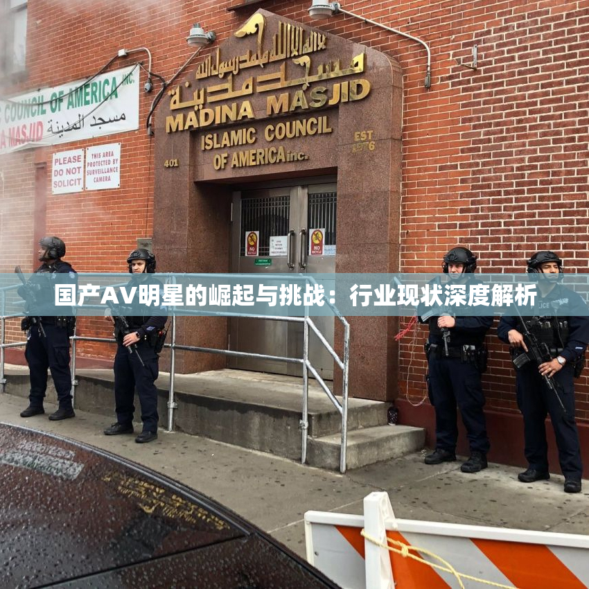 国产AV明星的崛起与挑战：行业现状深度解析