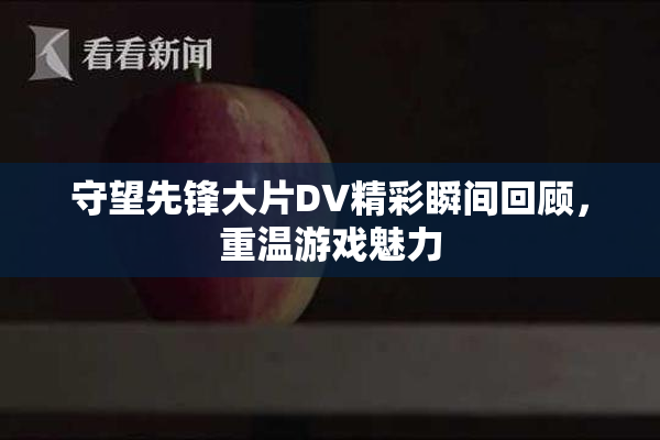 守望先锋大片DV精彩瞬间回顾，重温游戏魅力