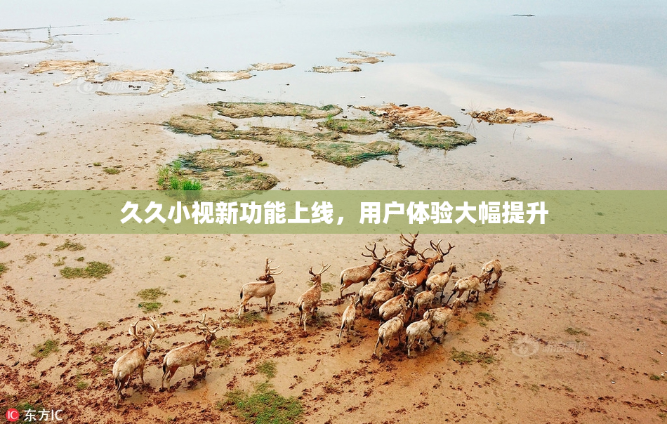 久久小视新功能上线，用户体验大幅提升