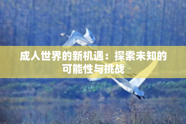 成人世界的新机遇：探索未知的可能性与挑战