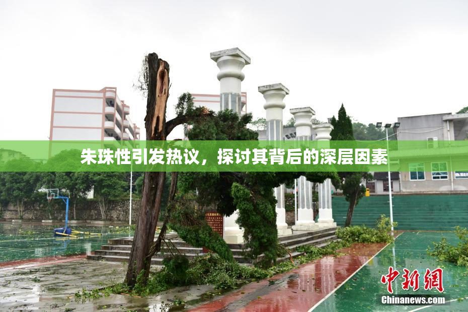 朱珠性引发热议，探讨其背后的深层因素