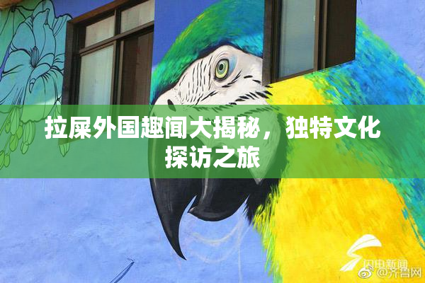 拉屎外国趣闻大揭秘，独特文化探访之旅