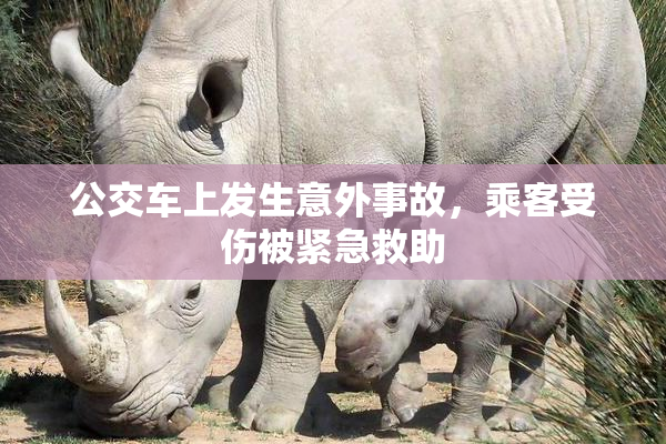 公交车上发生意外事故，乘客受伤被紧急救助