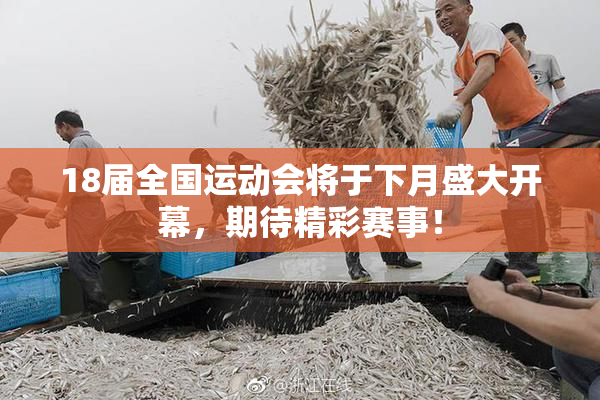 18届全国运动会将于下月盛大开幕，期待精彩赛事！