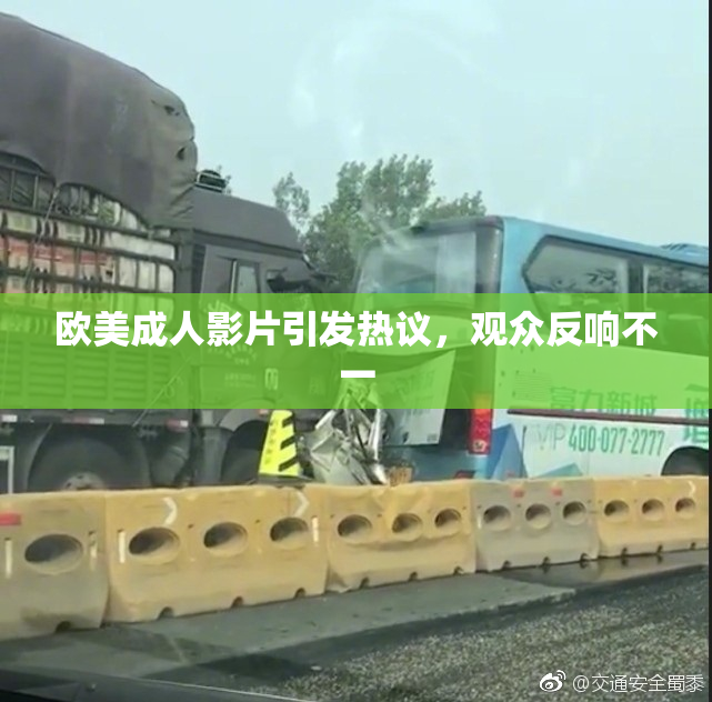 欧美成人影片引发热议，观众反响不一