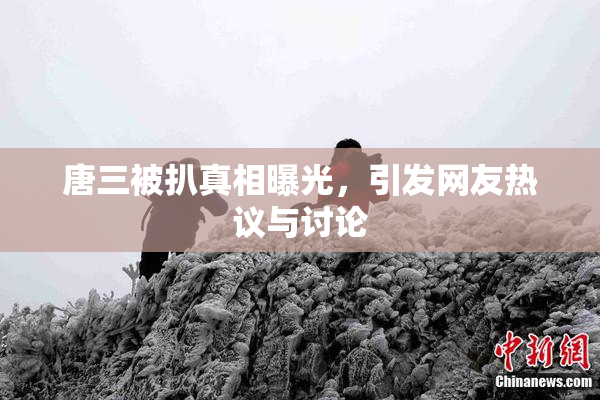 唐三被扒真相曝光，引发网友热议与讨论