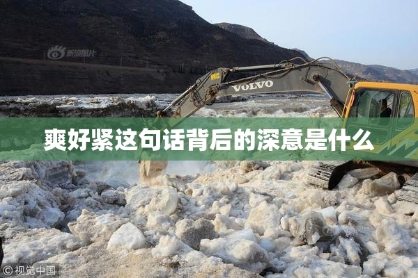 爽好紧这句话背后的深意是什么