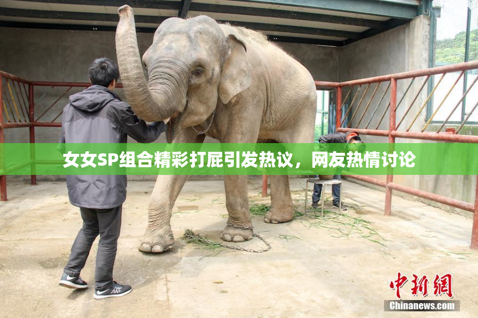 女女SP组合精彩打屁引发热议，网友热情讨论