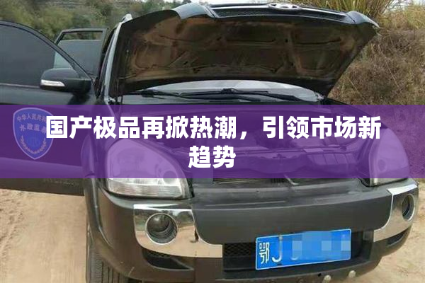国产极品再掀热潮，引领市场新趋势