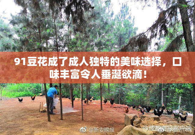 91豆花成了成人独特的美味选择，口味丰富令人垂涎欲滴！
