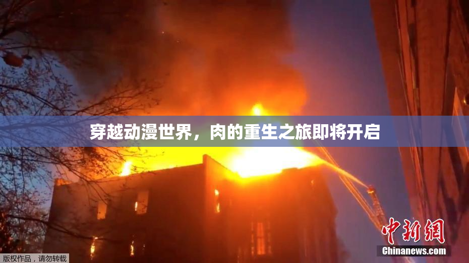 穿越动漫世界，肉的重生之旅即将开启
