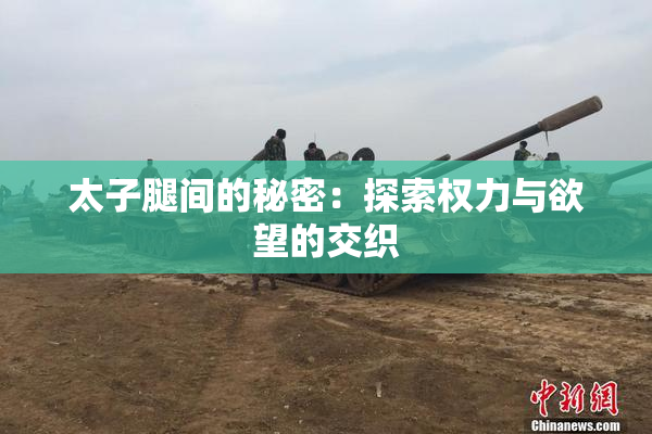 太子腿间的秘密：探索权力与欲望的交织
