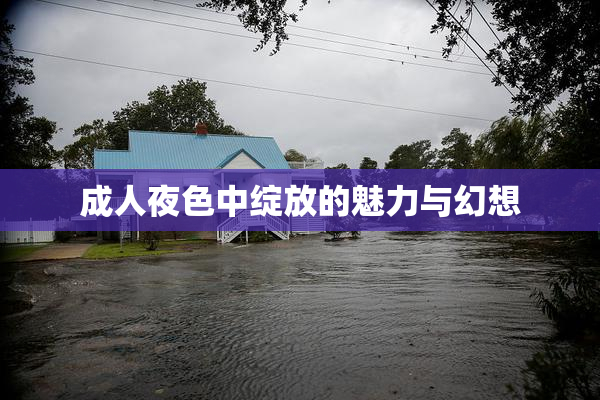 成人夜色中绽放的魅力与幻想