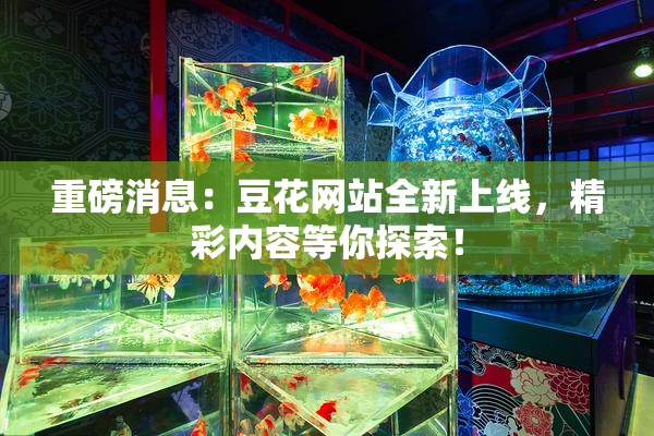重磅消息：豆花网站全新上线，精彩内容等你探索！