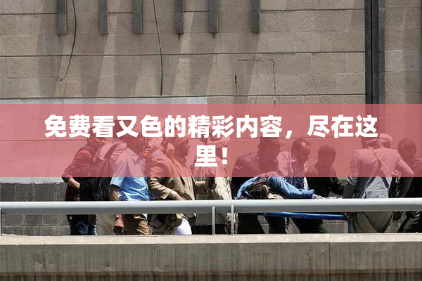 免费看又色的精彩内容，尽在这里！