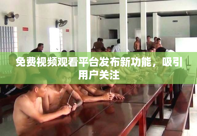 免费视频观看平台发布新功能，吸引用户关注