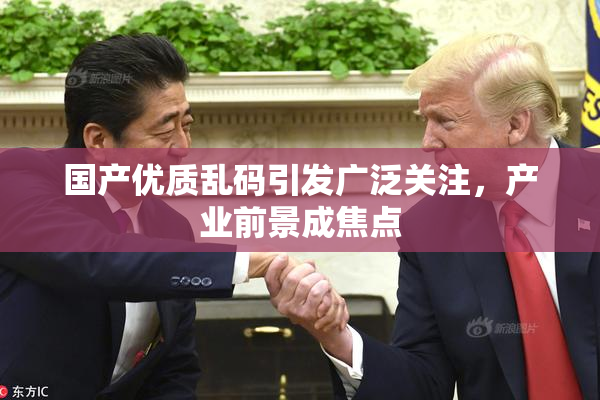 国产优质乱码引发广泛关注，产业前景成焦点
