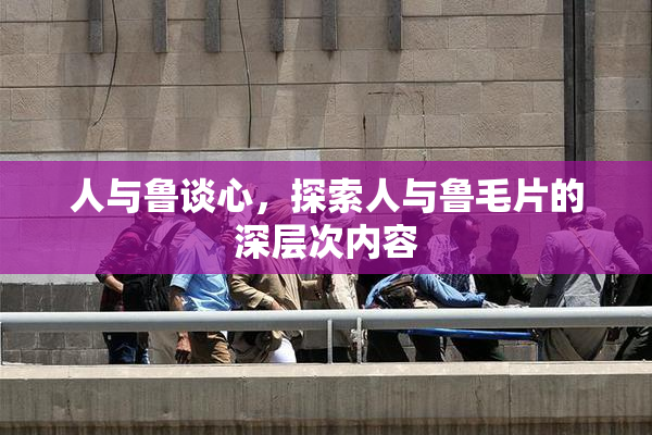 人与鲁谈心，探索人与鲁毛片的深层次内容