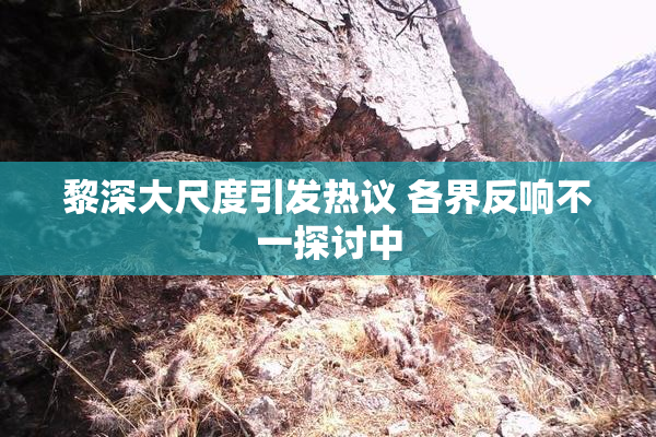 黎深大尺度引发热议 各界反响不一探讨中