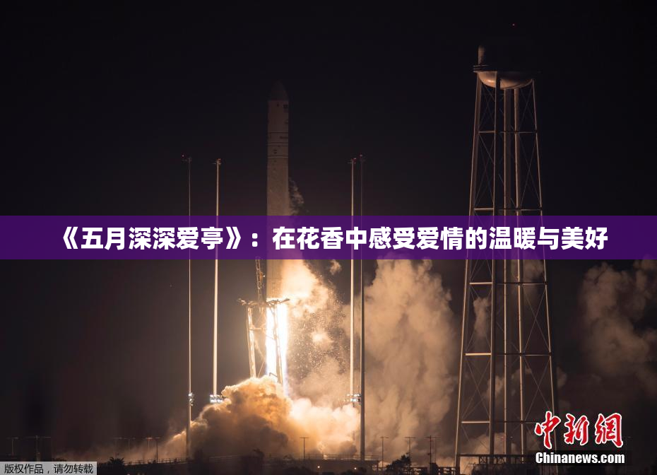 《五月深深爱亭》：在花香中感受爱情的温暖与美好