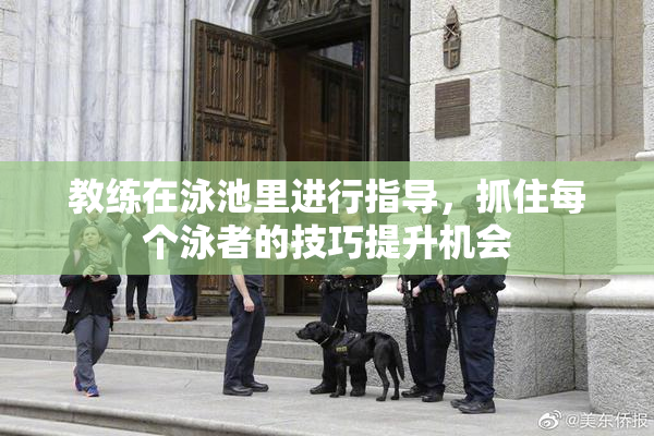教练在泳池里进行指导，抓住每个泳者的技巧提升机会