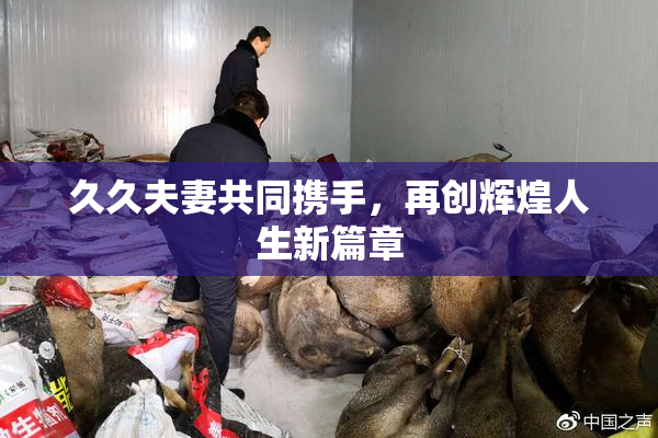 久久夫妻共同携手，再创辉煌人生新篇章