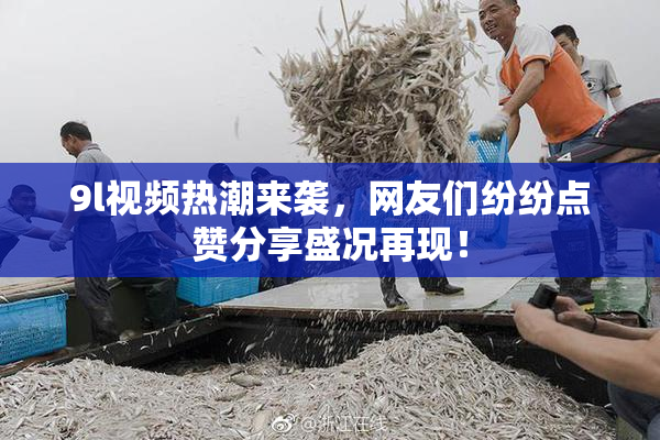 9l视频热潮来袭，网友们纷纷点赞分享盛况再现！