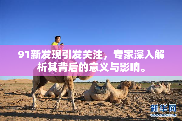 91新发现引发关注，专家深入解析其背后的意义与影响。