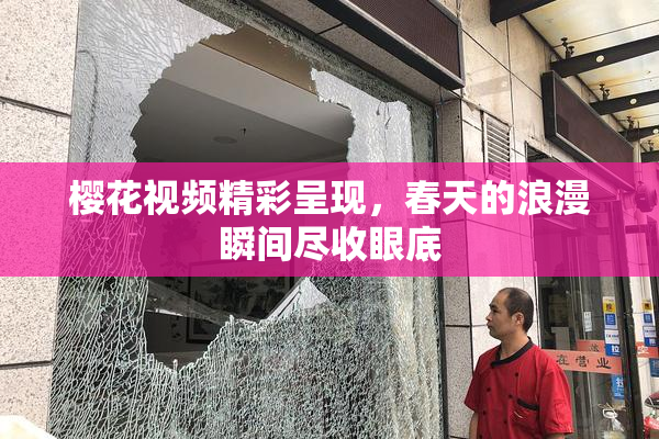 樱花视频精彩呈现，春天的浪漫瞬间尽收眼底