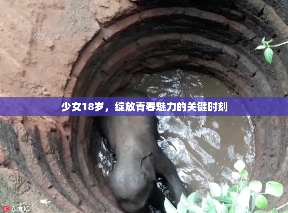 少女18岁，绽放青春魅力的关键时刻