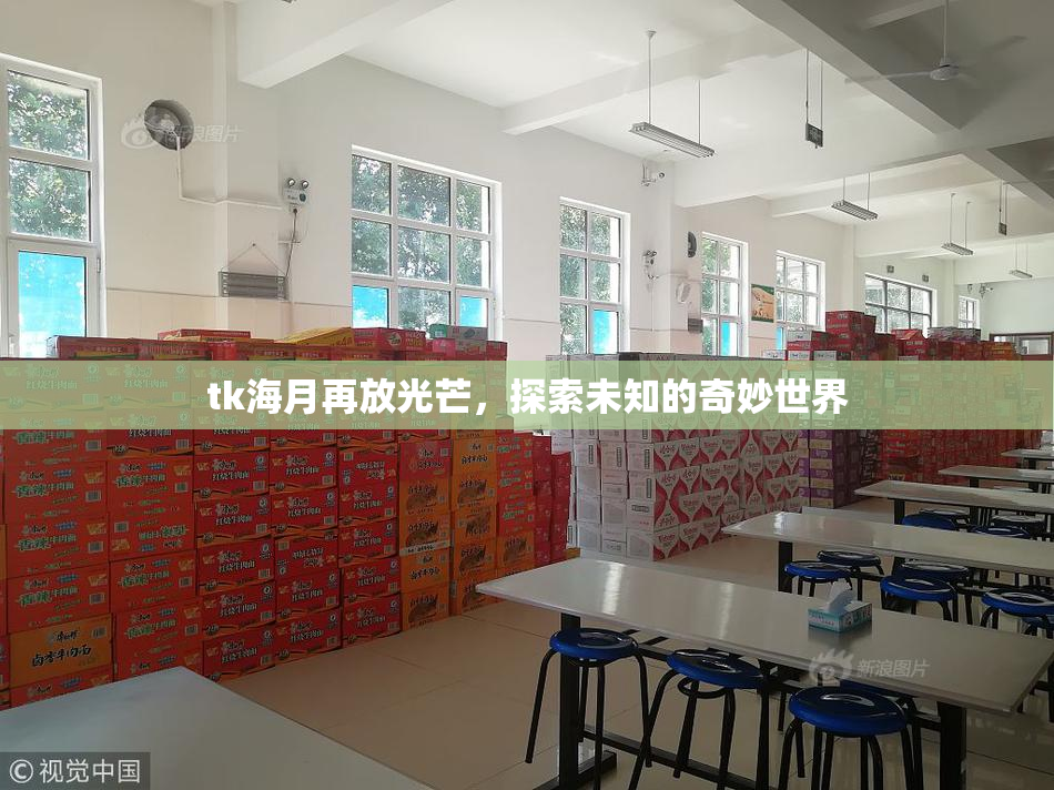 tk海月再放光芒，探索未知的奇妙世界