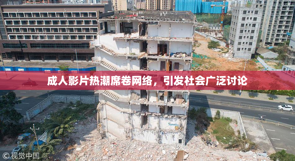 成人影片热潮席卷网络，引发社会广泛讨论