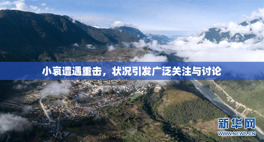 小哀遭遇重击，状况引发广泛关注与讨论