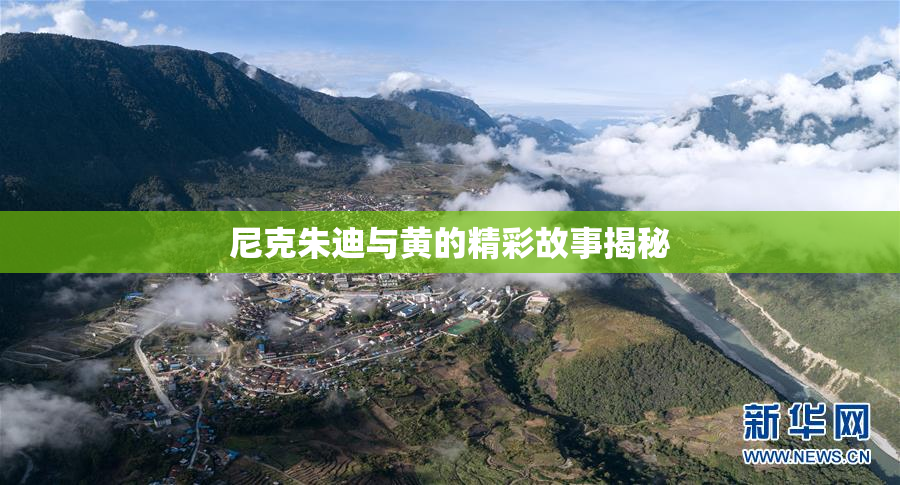 尼克朱迪与黄的精彩故事揭秘