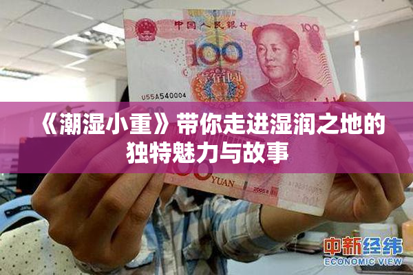 《潮湿小重》带你走进湿润之地的独特魅力与故事