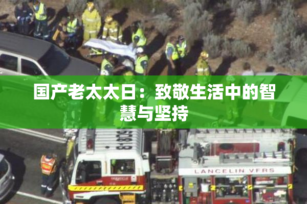 国产老太太日：致敬生活中的智慧与坚持