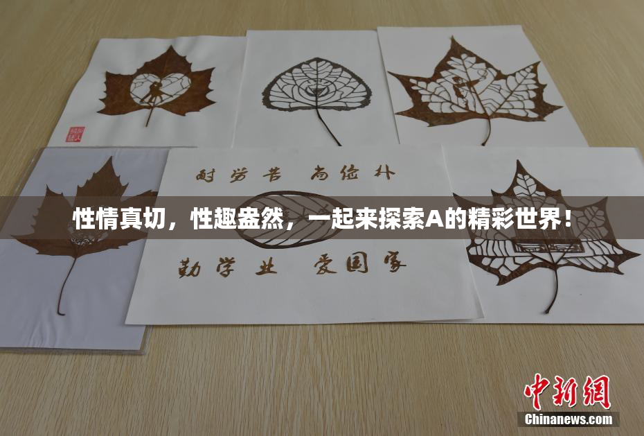 性情真切，性趣盎然，一起来探索A的精彩世界！