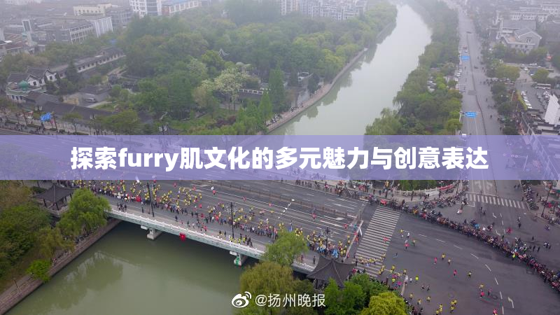 探索furry肌文化的多元魅力与创意表达