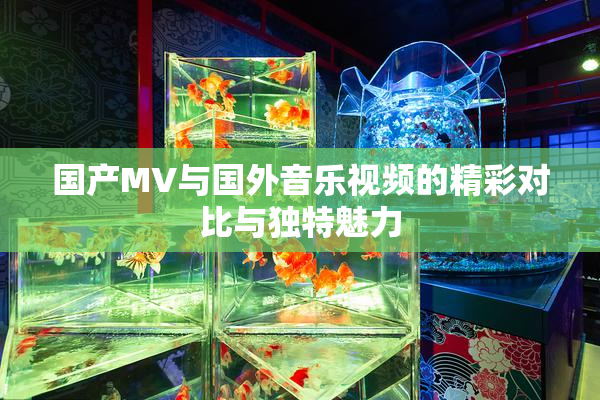 国产MV与国外音乐视频的精彩对比与独特魅力