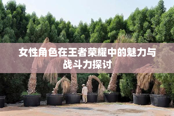 女性角色在王者荣耀中的魅力与战斗力探讨