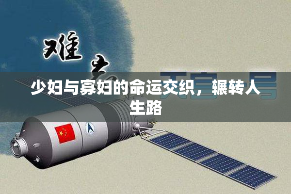 少妇与寡妇的命运交织，辗转人生路