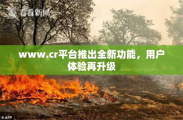 www.cr平台推出全新功能，用户体验再升级