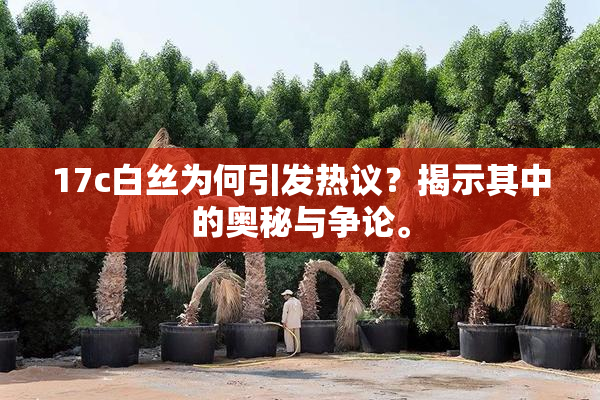 17c白丝为何引发热议？揭示其中的奥秘与争论。