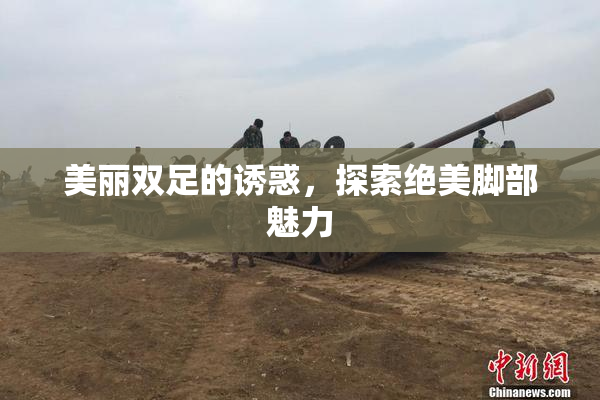 美丽双足的诱惑，探索绝美脚部魅力